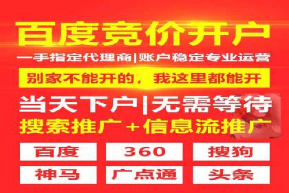 体育赛事宣传中的SEM托管服务：从策划到执行